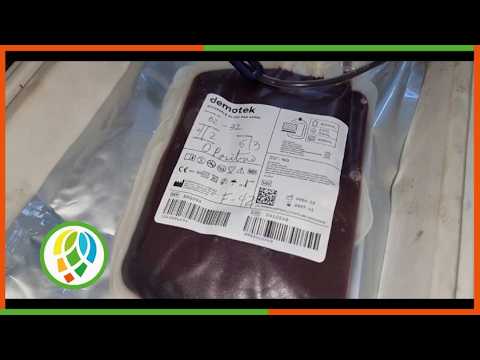 Recupera Mantua programa de donaciones de sangre