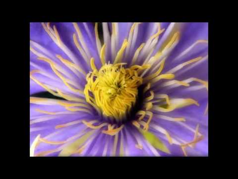 CRISTINA RAICU,,am o mama numai una HIT 2013