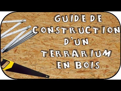 comment construire un terrarium pour iguane