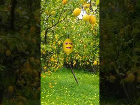 #anujit #contentcreator #funnyvideo #amazing #shortvideo 🤪🤪🤪🤪