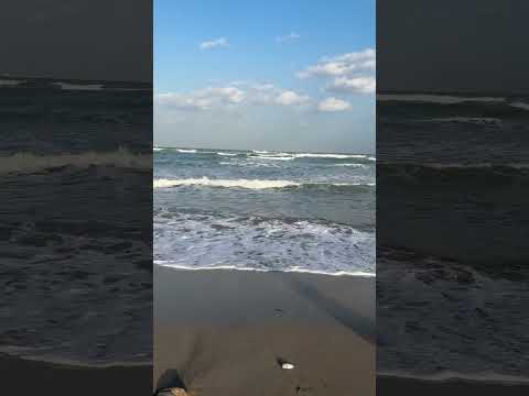 🫶🏻🐚☀️🏖️.                                             #placeswegoexploringtravelvidoes #music