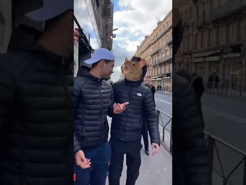 The Rat and the COVID Test