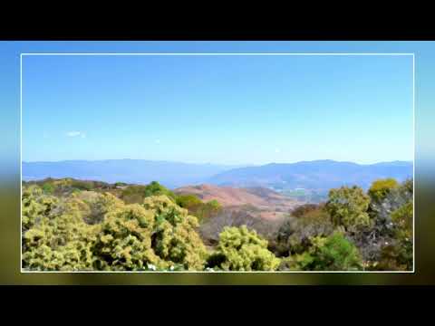 MBSR-Achtsamkeitsmeditation: Fokus und offenes Gewahrsein (20 Minuten)