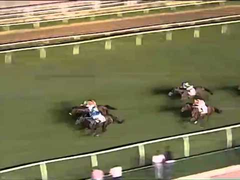 Galoppo 23/07/2014 - Corsa 6