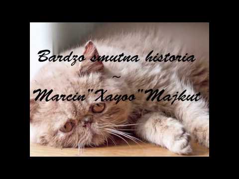 Bardzo smutna historia ~ Marcin"Xayoo"Majkut