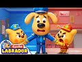 Sheriff Labrador Mundo De Cartón Videos Para Niños BabyBus En Español