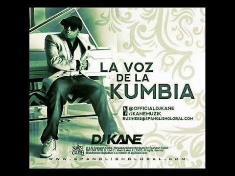 DJ Kane- Te quiero
