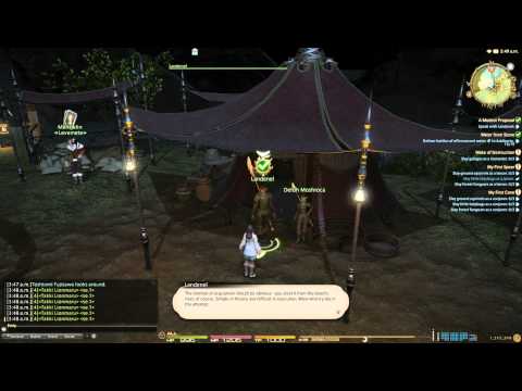 FFXIV ARR - Main Quest Lv.30 - A Modest Proposal 02