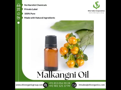 Malkangni Seed Oil