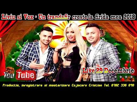 Liviu & Vox – Un trandafir creste la firida mea Video