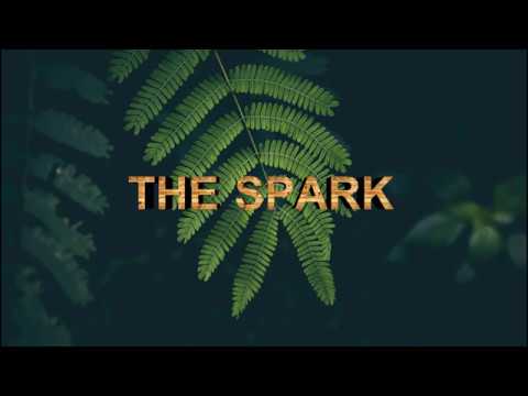 Afrojack, Spree Wilson - The Spark ft. Spree Wilson  lyrics video