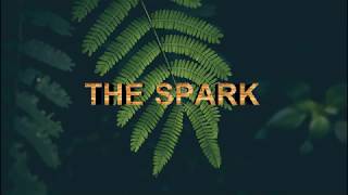 Afrojack, Spree Wilson - The Spark ft. Spree Wilson  lyrics video