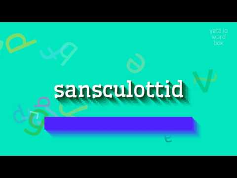 SANSCULOTTID - HOW TO PRONOUNCE IT? #sansculottid