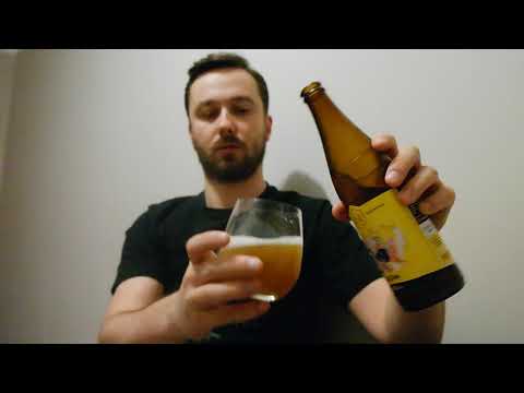 Degustacja piwa Labirytm z browaru Nepomucen