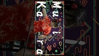 #メンバー紹介 『#神楽むぎ 』【TaroTV10826】2024/11/16～レギュラーショー