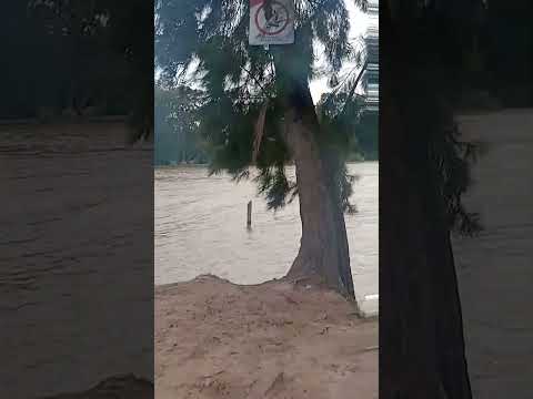 Río Luján. Villa La Ñata. Buenos Aires.