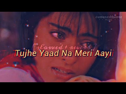 tujhe yaad na meri aayee (slowed + reverb) alka yagnik | udit narayan | manpreet akhtar