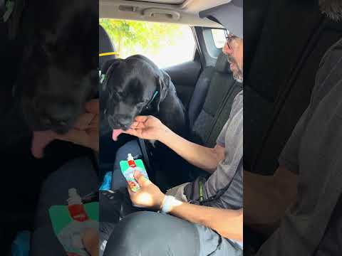 Kratos Video Kapak
