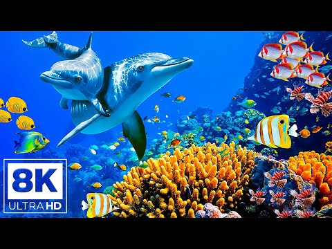 Aquarium 8K (VIDEO ULTRA HD) - Beautiful Coral Reef Fish - Sleep Relaxing Meditation Music