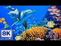 Aquarium 8K VIDEO ULTRA HD Beautiful Coral Reef Fish Sleep Relaxing Meditation Music