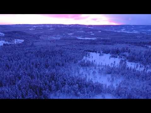 Beautiful Nature | Mind Relaxing Sound