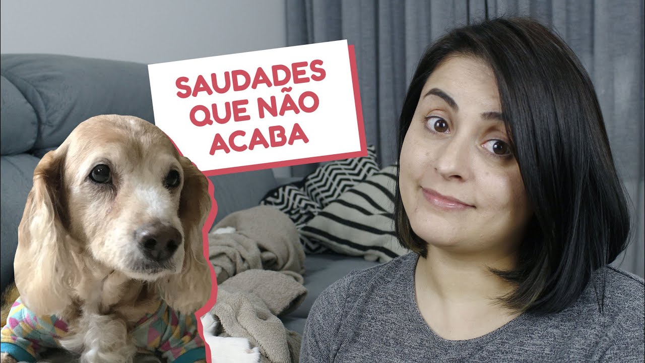 Como superar a perda de um cão