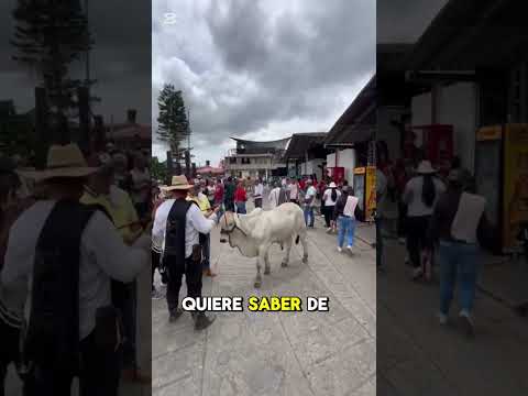 Feria Ganadera el Peñón Cundinamarca. 