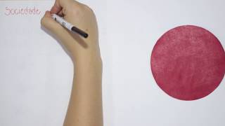 O que estuda a Ciência Política?