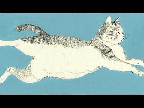 니와모리 피아노 모음집 8시간