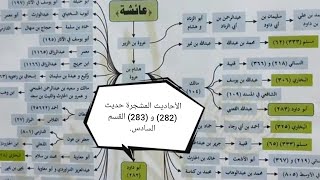 صورة الأحاديث المشجرة سنن أبي داود حديث (282) و (283) القسم السادس .