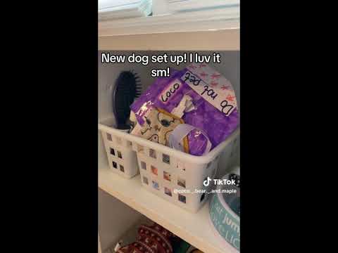 Essa TikTok Comp #5 || 10+ minutes of essa TikToks ||