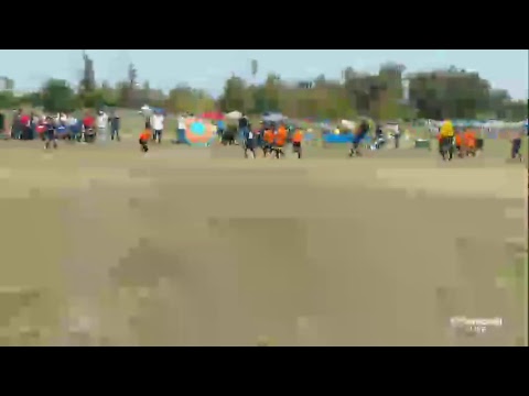 Liga Masaya (2t./final/cat U-8) Sylmar United vs. Club Oro