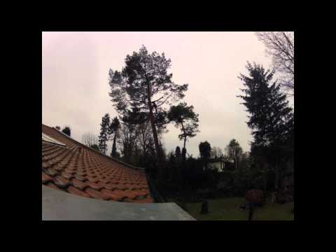 Astrein-Baumpflege - Sturmschaden Kiefer. 2 ausgerissene Äste in Seilklettertechnik aus Baum geholt