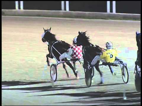 Trotto 16/12/2014 - 4° corsa