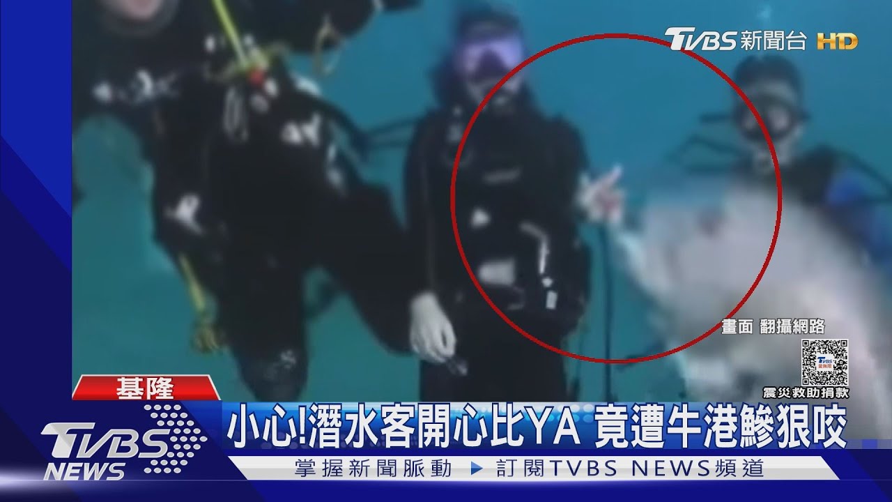 小心! 潛水客開心比YA竟遭牛港鰺狠咬