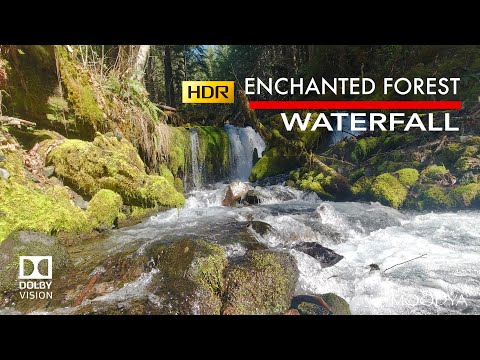 4K (HDR) Enchanted Forest Waterfall Sound. Nature Therapy TV Background Ambience Experience