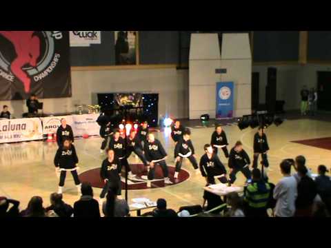 Lithuanian Cup 2011 Adults formations ZUZU CREW 1st place