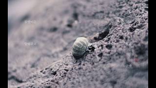 랄라스윗(lalasweet) - 늦어버렸나 Official Video