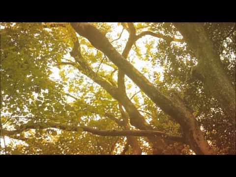 KAORI MURAJI  -  村治佳織 Video  2011