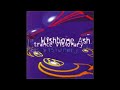 Wishbone Ash - Trance Visionary (1998)