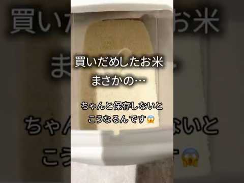 買いだめしてたお米に&hellip;虫⁉︎😱備蓄派の新常識「真空保存」って知ってた？▼限定情報は▶︎https://line.me/R/ti/p/@833ncotq #COVO #キッチン便利グッズ #米の保存