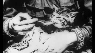 The Sick Kitten (1901) | BFI