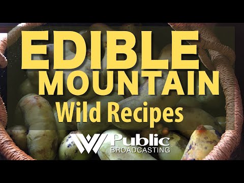 Edible Mountain: Wild Recipes
