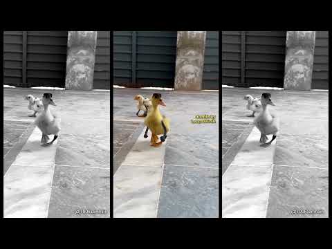 🍬 TREAT 🍬 #LeopARTnik