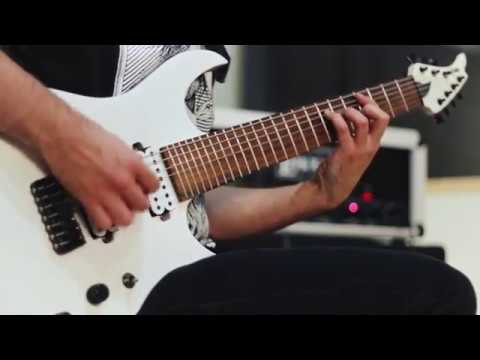 Inhumane Existence - Pierced and Confined (Guitar Playthrough)