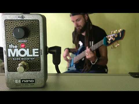 Демонстрация звучания  Electro-Harmonix The Mole