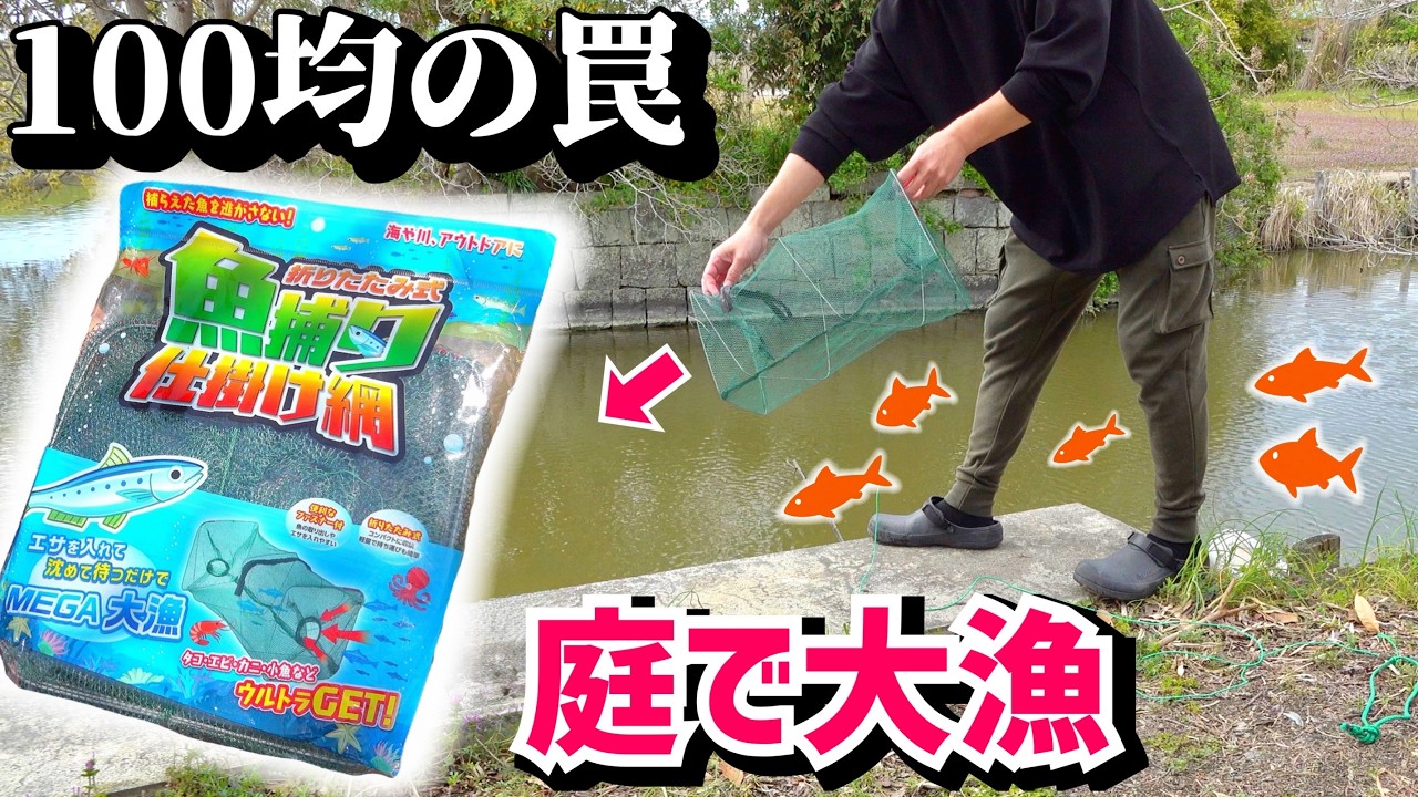 庭の水路に罠を仕掛けるとスゴイ姿をした生物が…