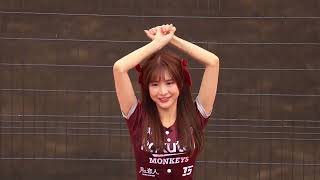 【台湾チア】20240224楽天ガールズ　ハニーズコラボ　＠宮崎アイビースタジアム