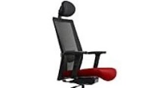 Wipro Adapt High Back Ergonomic Office Executive Chair | Best WFH Chair | No 1 Chair | Hindi Review