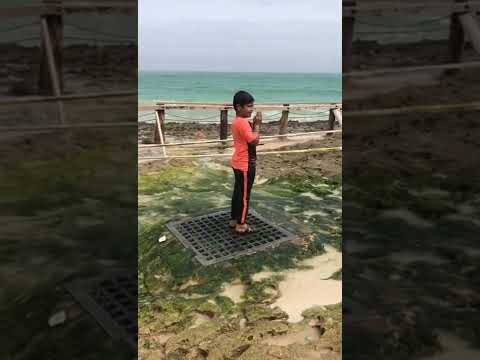 Salalah Beach @ Oman...